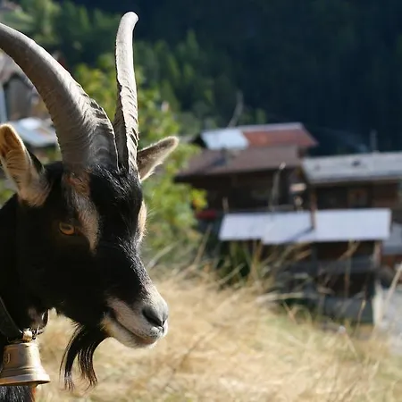 Hébergement de vacances L'ermitage *